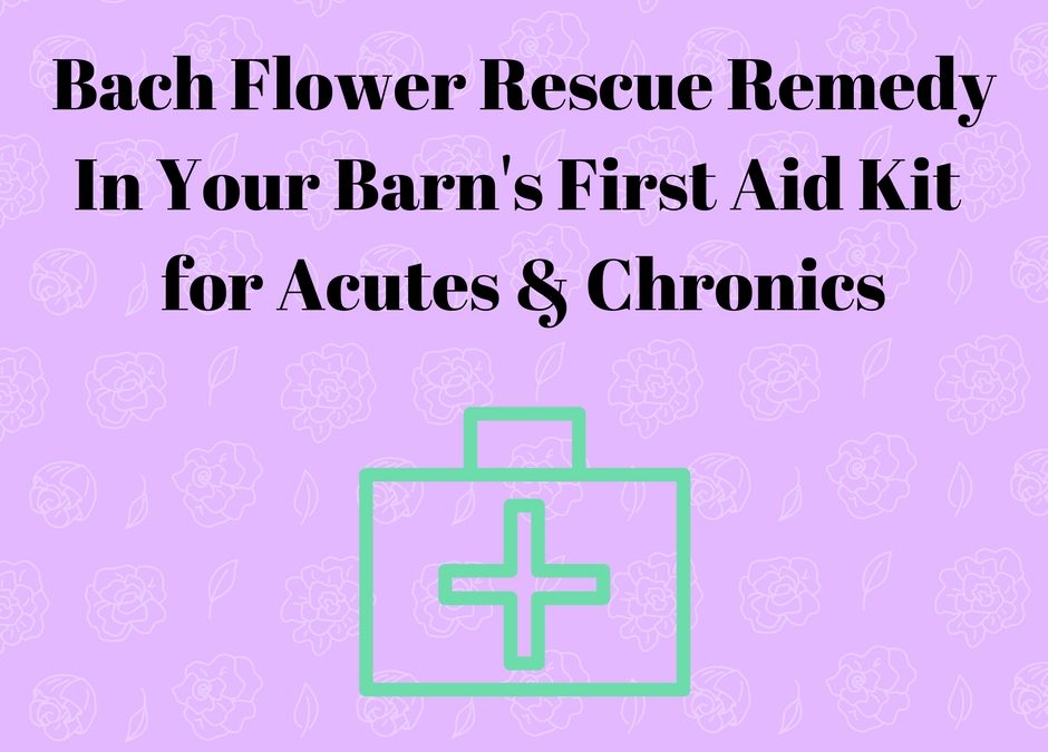 Rescue Remedy In Your Barn’s First Aid Kit … Part 2 -> Chronics