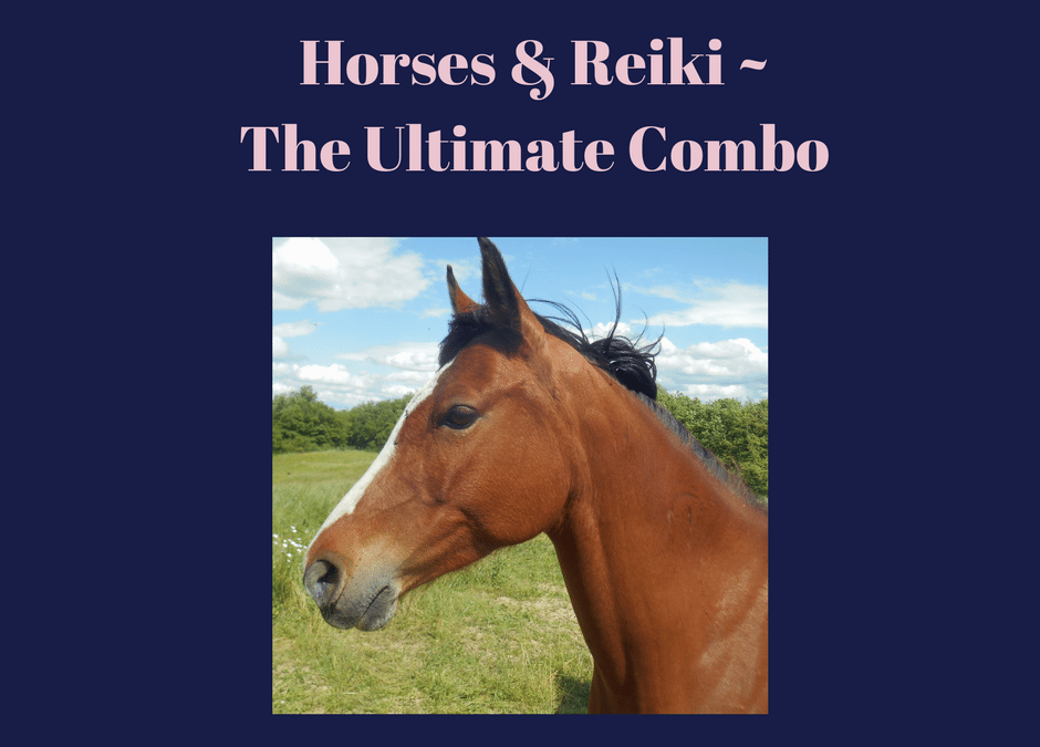 Why Reiki Is Great For You & Your Horse